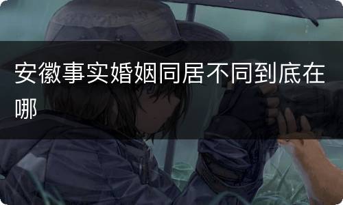 安徽事实婚姻同居不同到底在哪