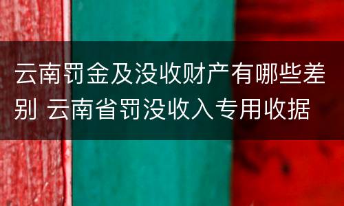 云南罚金及没收财产有哪些差别 云南省罚没收入专用收据
