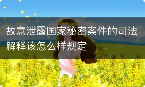 故意泄露国家秘密案件的司法解释该怎么样规定