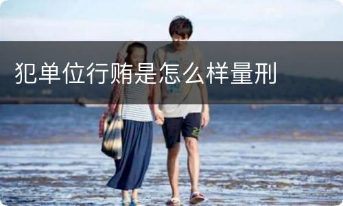 犯单位行贿是怎么样量刑