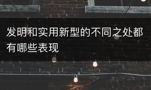 发明和实用新型的不同之处都有哪些表现