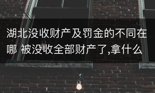 湖北没收财产及罚金的不同在哪 被没收全部财产了,拿什么交罚金