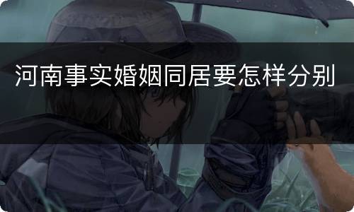 河南事实婚姻同居要怎样分别