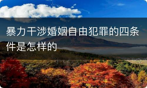 暴力干涉婚姻自由犯罪的四条件是怎样的
