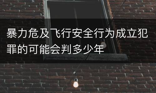 暴力危及飞行安全行为成立犯罪的可能会判多少年
