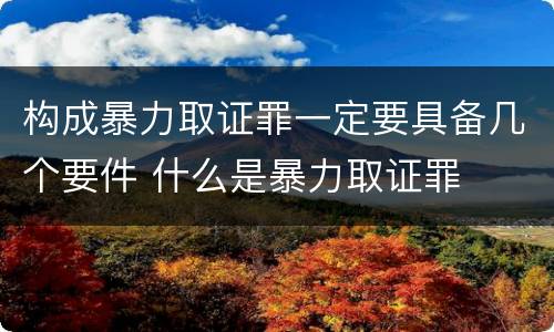 构成暴力取证罪一定要具备几个要件 什么是暴力取证罪