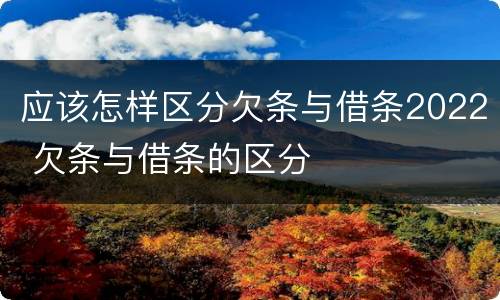 应该怎样区分欠条与借条2022 欠条与借条的区分