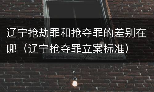 辽宁抢劫罪和抢夺罪的差别在哪（辽宁抢夺罪立案标准）