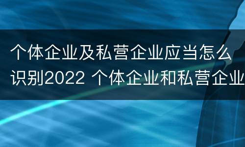 个体企业及私营企业应当怎么识别2022 个体企业和私营企业