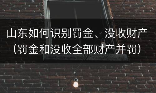 山东如何识别罚金、没收财产（罚金和没收全部财产并罚）