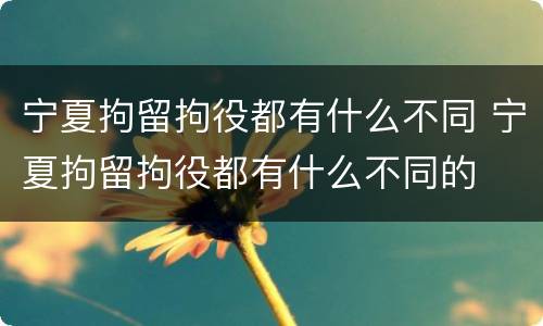 宁夏拘留拘役都有什么不同 宁夏拘留拘役都有什么不同的