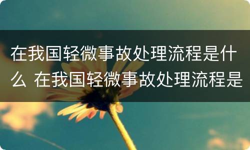 在我国轻微事故处理流程是什么 在我国轻微事故处理流程是什么意思