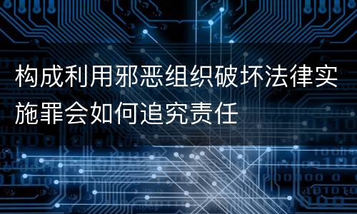 构成利用邪恶组织破坏法律实施罪会如何追究责任