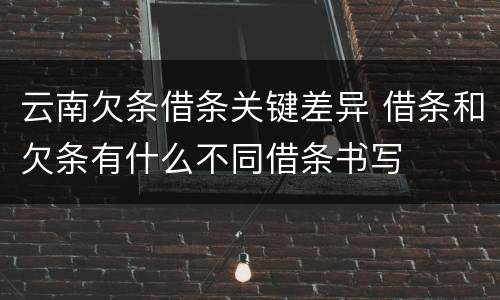 云南欠条借条关键差异 借条和欠条有什么不同借条书写