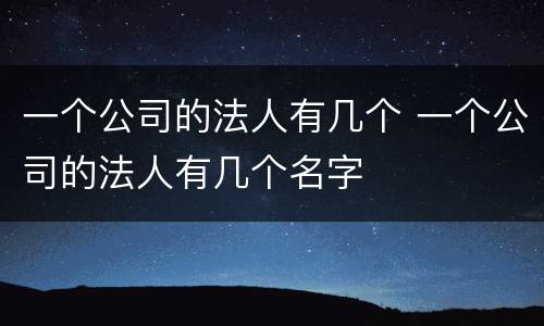 一个公司的法人有几个 一个公司的法人有几个名字