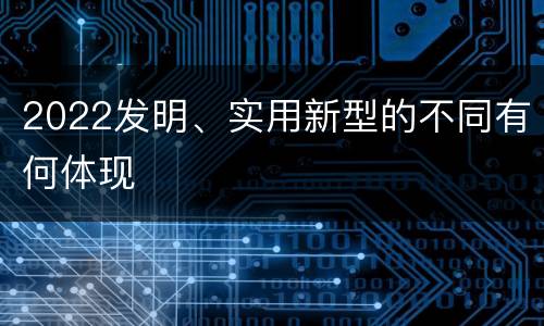2022发明、实用新型的不同有何体现
