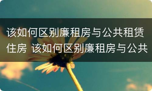 该如何区别廉租房与公共租赁住房 该如何区别廉租房与公共租赁住房的区别