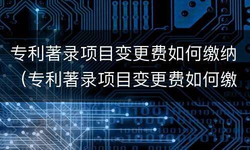 专利著录项目变更费如何缴纳（专利著录项目变更费如何缴纳个税）
