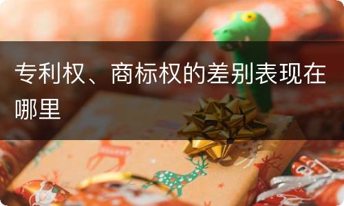 专利权、商标权的差别表现在哪里