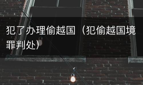 犯了办理偷越国（犯偷越国境罪判处）