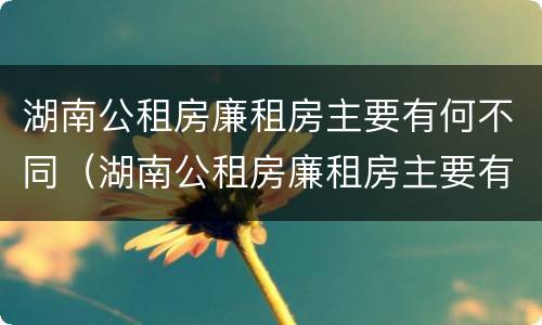 湖南公租房廉租房主要有何不同（湖南公租房廉租房主要有何不同呢）