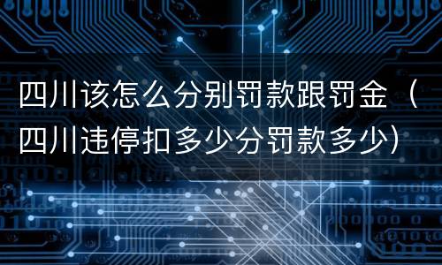 四川该怎么分别罚款跟罚金（四川违停扣多少分罚款多少）