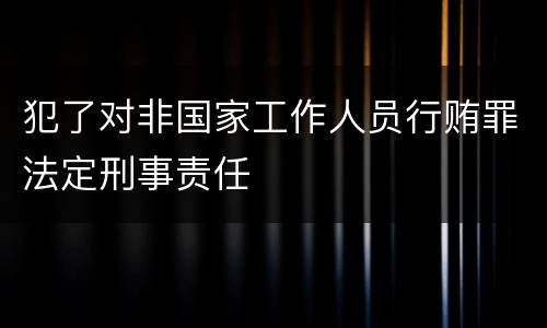 犯了对非国家工作人员行贿罪法定刑事责任