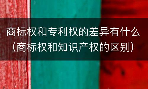 商标权和专利权的差异有什么（商标权和知识产权的区别）