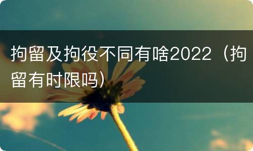 拘留及拘役不同有啥2022（拘留有时限吗）