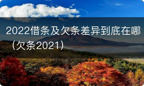 2022借条及欠条差异到底在哪（欠条2021）