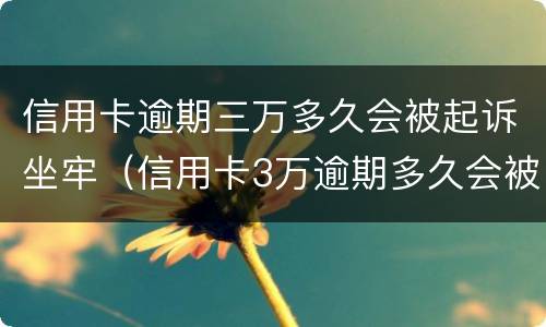 信用卡逾期三万多久会被起诉坐牢（信用卡3万逾期多久会被起诉）