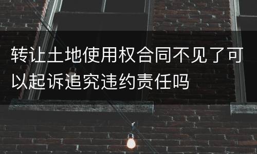 转让土地使用权合同不见了可以起诉追究违约责任吗