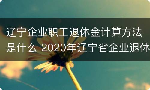 辽宁企业职工退休金计算方法是什么 2020年辽宁省企业退休金计算方法