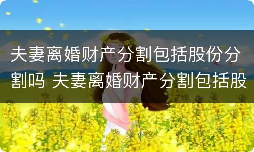 夫妻离婚财产分割包括股份分割吗 夫妻离婚财产分割包括股份分割吗