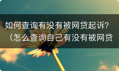 如何查询有没有被网贷起诉？（怎么查询自己有没有被网贷起诉）