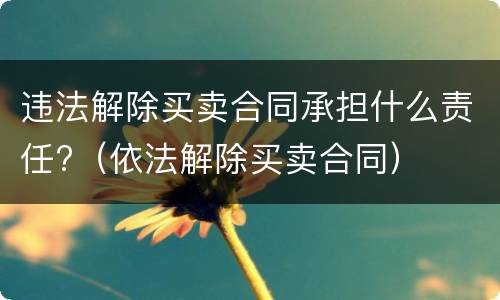 违法解除买卖合同承担什么责任?（依法解除买卖合同）
