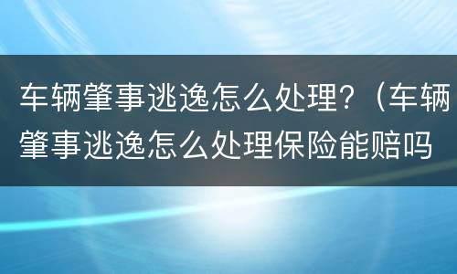 车辆肇事逃逸怎么处理?（车辆肇事逃逸怎么处理保险能赔吗）