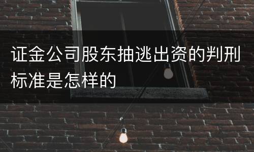 证金公司股东抽逃出资的判刑标准是怎样的