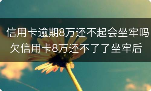 信用卡逾期8万还不起会坐牢吗 欠信用卡8万还不了了坐牢后还要还吗
