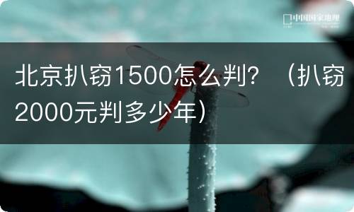 北京扒窃1500怎么判？（扒窃2000元判多少年）