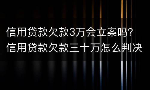 信用贷款欠款3万会立案吗？ 信用贷款欠款三十万怎么判决
