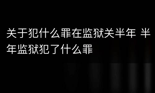 关于犯什么罪在监狱关半年 半年监狱犯了什么罪