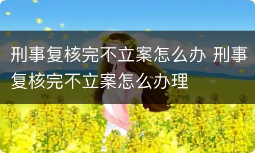 刑事复核完不立案怎么办 刑事复核完不立案怎么办理