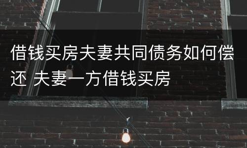 借钱买房夫妻共同债务如何偿还 夫妻一方借钱买房 借钱买房夫妻共同债务如何偿还 夫妻一方借钱买房