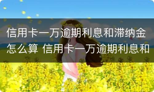 信用卡一万逾期利息和滞纳金怎么算 信用卡一万逾期利息和滞纳金怎么算的