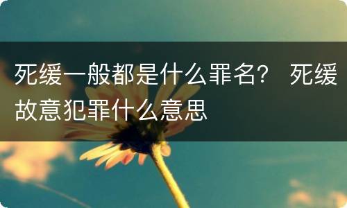 死缓一般都是什么罪名？ 死缓故意犯罪什么意思