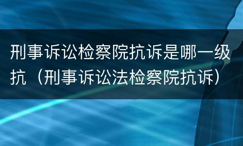 刑事诉讼检察院抗诉是哪一级抗（刑事诉讼法检察院抗诉）