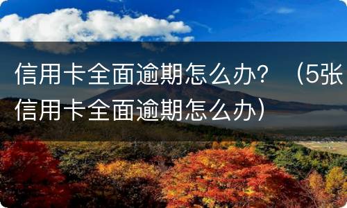 信用卡全面逾期怎么办？（5张信用卡全面逾期怎么办）
