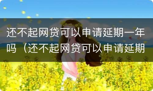 还不起网贷可以申请延期一年吗（还不起网贷可以申请延期一年吗贴吧）