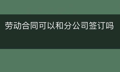 劳动合同可以和分公司签订吗